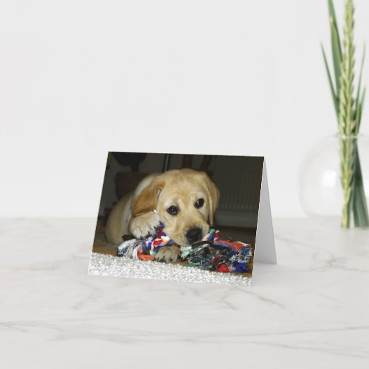 LR イエローラブパピー おもちゃ付き カード (正面)