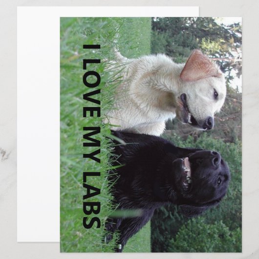 LR I Love My Labs with Love My Labs写真 (正面/裏面)