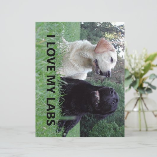 LR I Love My Labs with Love My Labs写真 (スタンド正面)