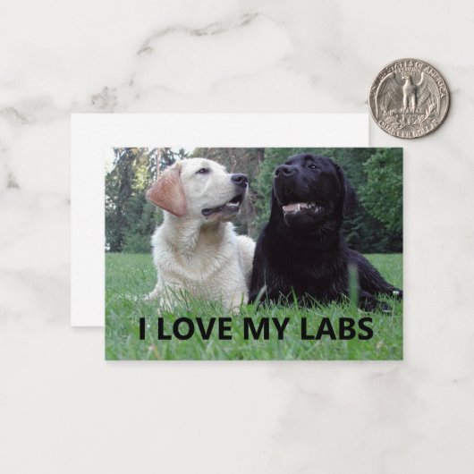 LR I Love My Labs with Love My Labs写真 ノートカード (正面/裏面インサイチュ)