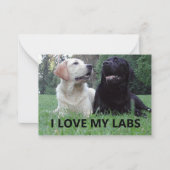 LR I Love My Labs with Love My Labs写真 ノートカード (正面)