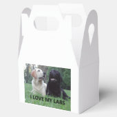 LR I Love My Labs with Love My Labs写真 フェイバーボックス (オープン)