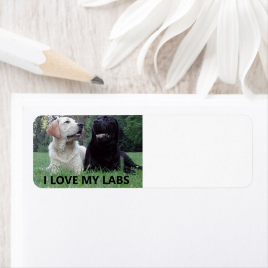 LR I Love My Labs with Love My Labs写真 ラベル (インサイチュ)
