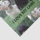 LR I Love My Labs with Love My Labs写真 薄葉紙 (詳細)