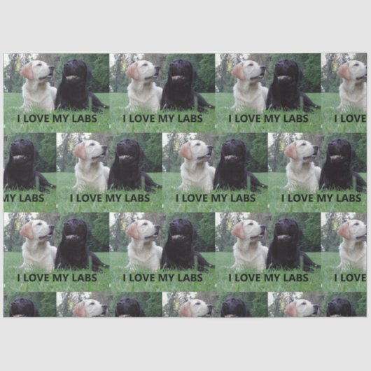 LR I Love My Labs with Love My Labs写真 薄葉紙 (正面)