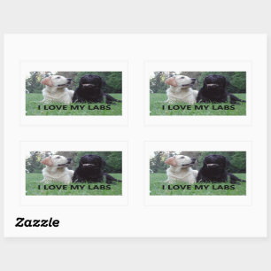 LR I Love My Labs with Love My Labs写真 長方形シール