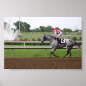 LSPシリーズ(2) ポスター (正面)