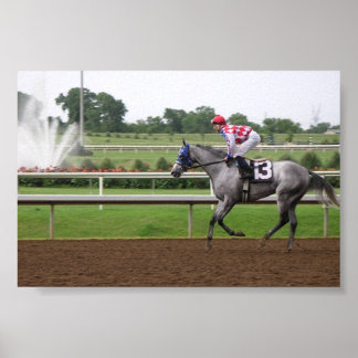 LSPシリーズ(2) ポスター