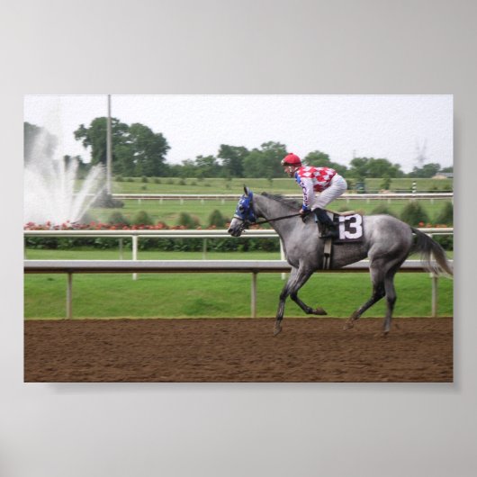 LSPシリーズ(2) ポスター (正面)