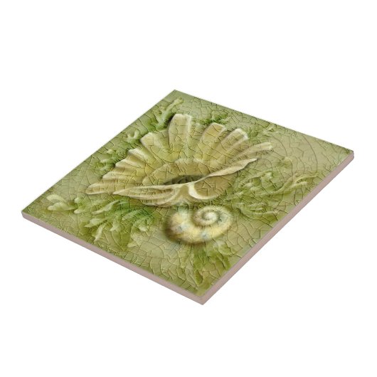 LtグリーンシーシェルAETアンティークレプロフェイクレリーフ、 浮き彫り タイル (側面)