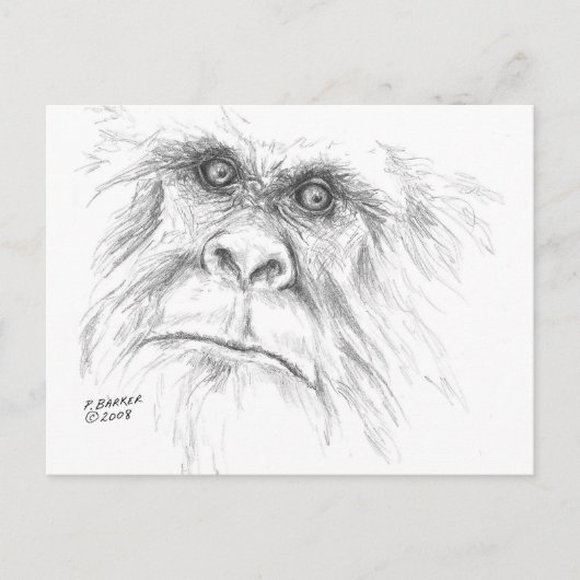 LTBの郵便はがき ポストカード (正面)