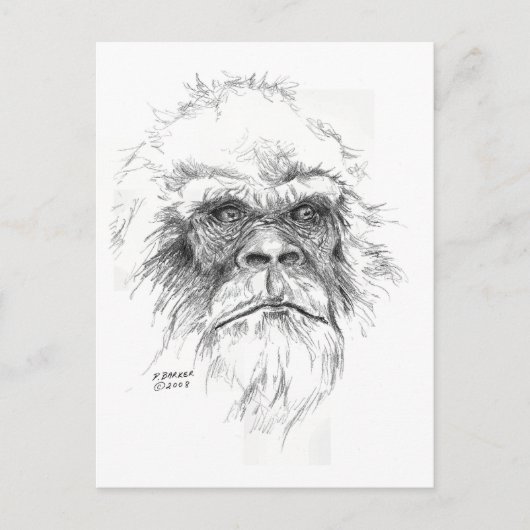 LTBはがき ポストカード (正面)