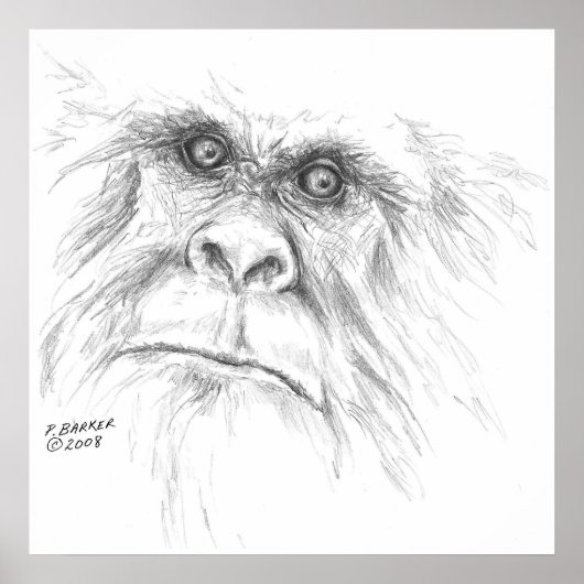 LTBポスター ポスター (正面)