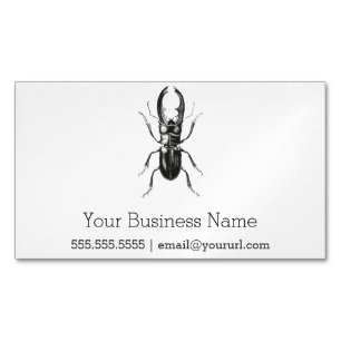 Lucanus Metallicusのカブトムシ マグネット名刺