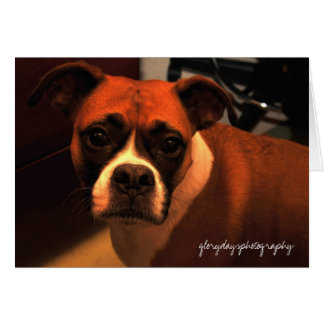 Lucieモンローのポートレート