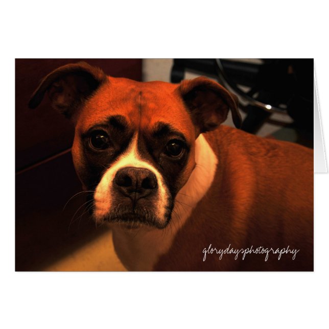 Lucieモンローのポートレート (正面横)