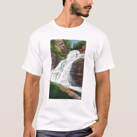 Luciferは眺めロバートH. Treman Stateの下ります Tシャツ (正面)