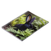 Lucifer The Black Little Bunny、ノート ノートブック (左側)