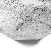 Lucinda Knowlton氏による初めての発表 ポスター (角)