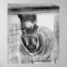 Lucinda Knowlton氏による初めての発表 ポスター