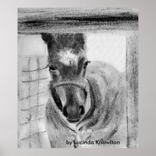 Lucinda Knowlton氏による初めての発表 ポスター (正面)