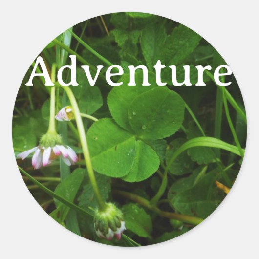 Lucky Charm Sticker  ラウンドシール (正面)