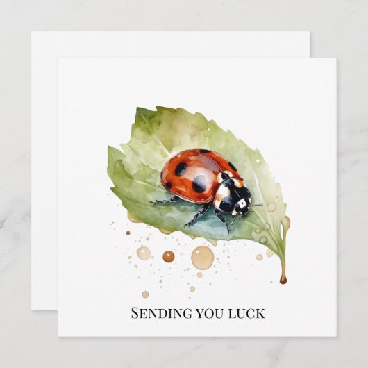 Lucky Ladybug on Leaf 招待状 (正面/裏面)