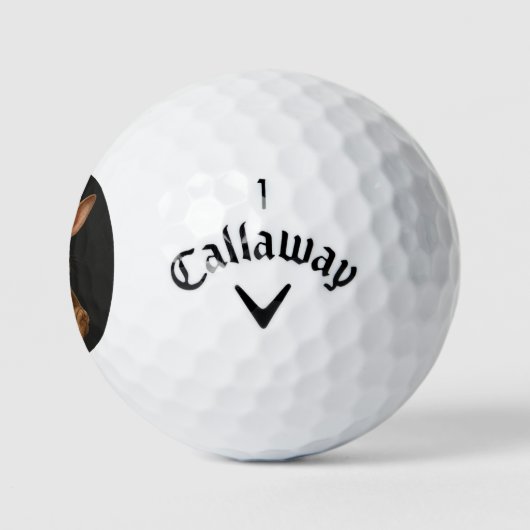 Lucky Rabbit Callaway Warbird Golf Balls ゴルフボール (ロゴ)