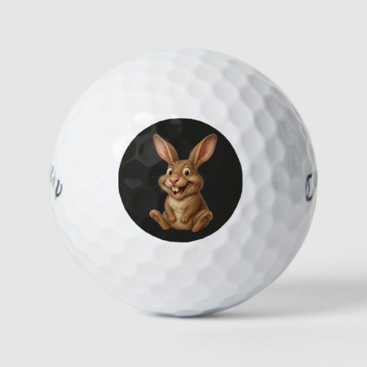 Lucky Rabbit Callaway Warbird Golf Balls ゴルフボール (正面)