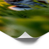 Lucky Rabbit Foot ポスター (コーナー)