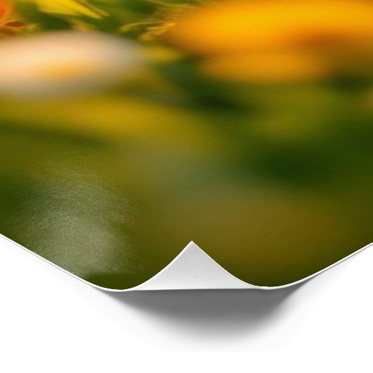 Lucky Rabbit Foot ポスター (コーナー)