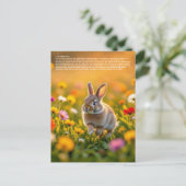 Lucky Rabbit Foot ポストカード (スタンド正面)