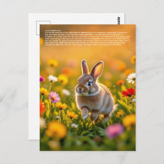 Lucky Rabbit Foot ポストカード (正面/裏面)