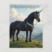 Lucky Unicorn ポストカード (正面)