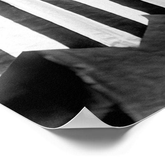 Lucy E. AnthonyとSusan B. Anthonyバナー ポスター (角)