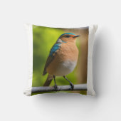 Luh Fit Bird クッション (正面)