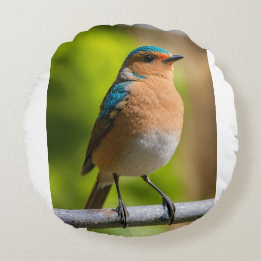 Luh Fit Bird ラウンドクッション (正面)