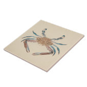 Luigi Balugani - Portunua Pelagicus – ブルーカニ タイル (側面)