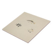 Luigi Balugani - Three Unidentified Fish タイル (側面)