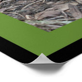 Luke 10:19聖なる書物、 経典ポスター（バージョンB） ポスター (角)