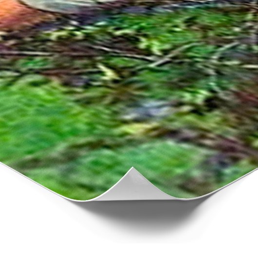 Luke 10:30-37 Love for a Neighbor ポスター (角)