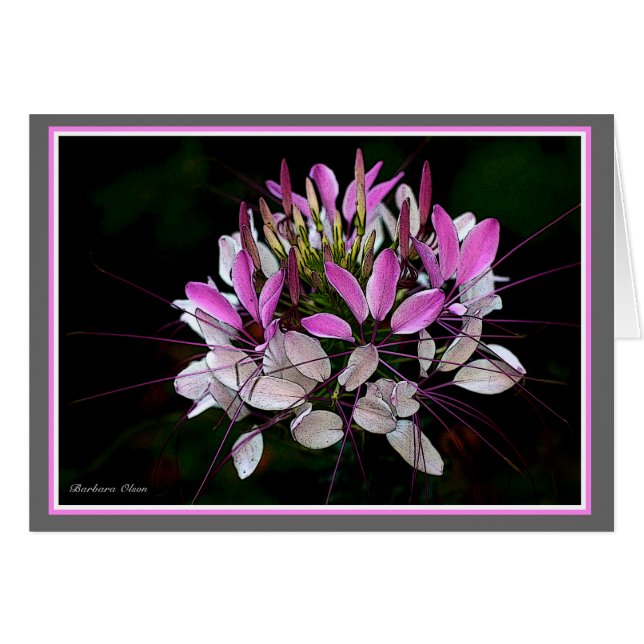 Luluの庭 (正面横)