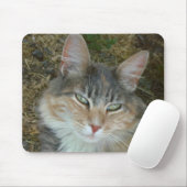 Lulu – 正午で居眠り マウスパッド (マウス)