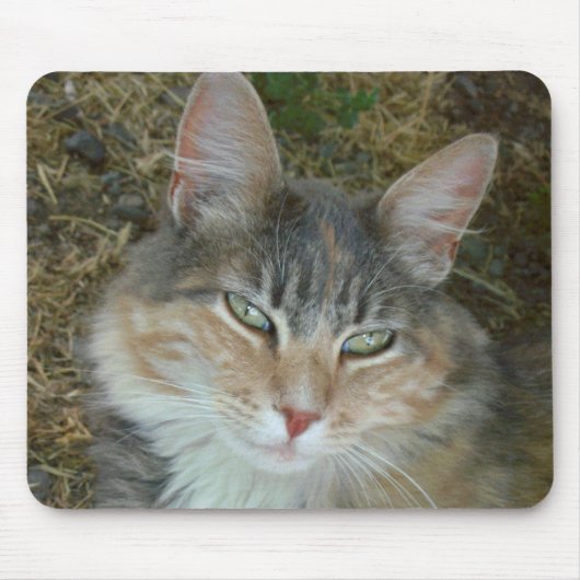 Lulu – 正午で居眠り マウスパッド (正面)