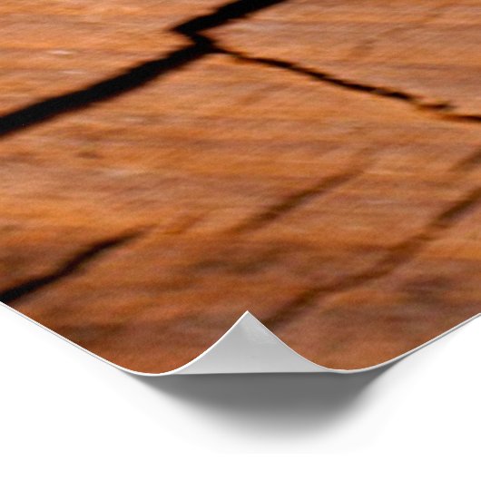 Lumber log wood tree cross section ポスター (角)