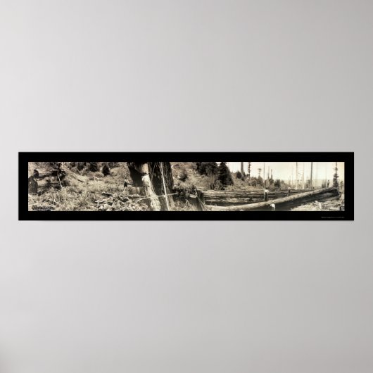Lumberjack Redwoods写真1915 ポスター (正面)