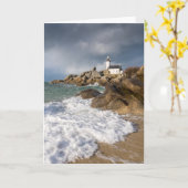 Lumièreのdélicieuseのdans le Finisteree Nord カード (黄色い花)