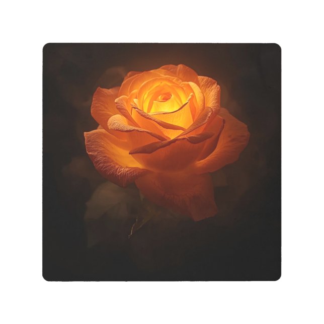 Luminous Orange Rose on Black Velvet – Elegant Flo メタルプリント (正面)