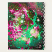 Luminous Star Field プランナー手帳 (裏面)