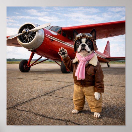 "Luna Earhart" ポスター (正面)